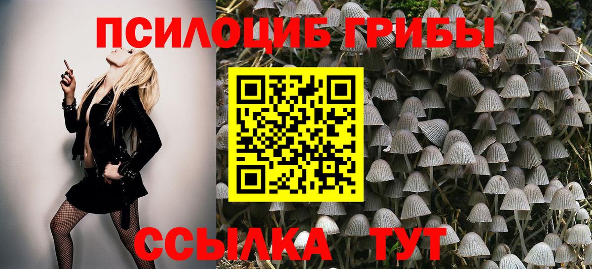 Большой Камень  Псилоцибиновые грибы мицелий  Вход с VPN 
